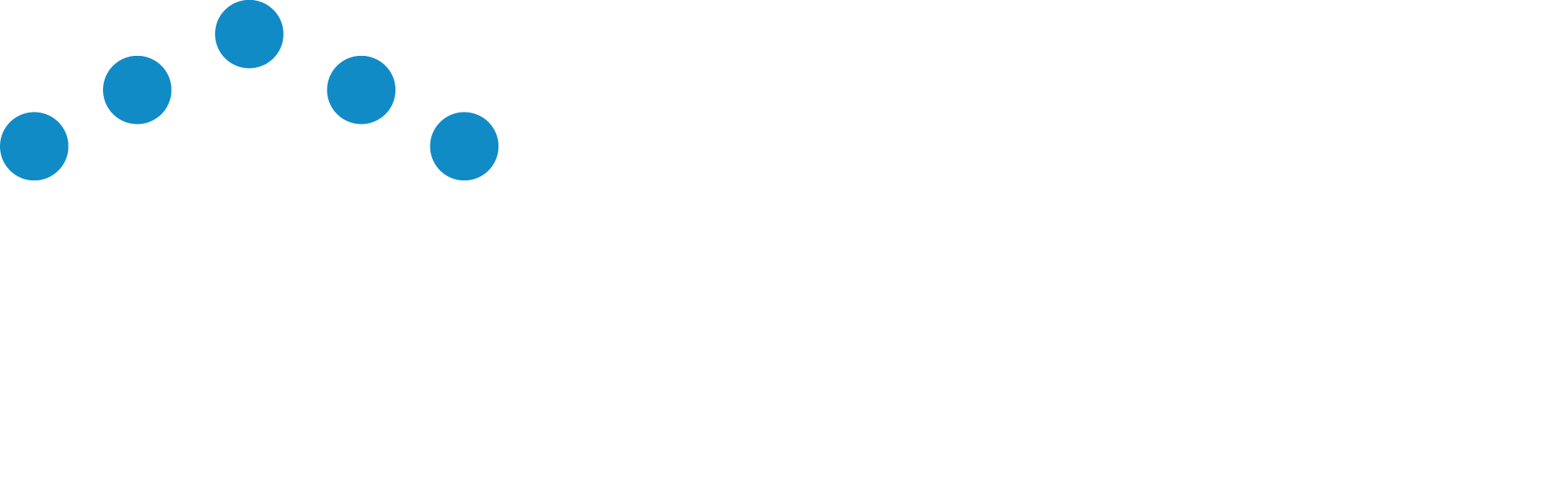 Smart Swim Pool Construction